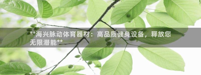 富联申购上市价格预测表：**海兴脉动体育器材：高品质