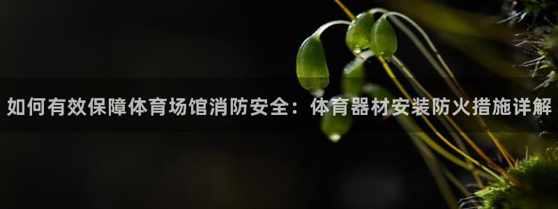 富联小区：如何有效保障体育场馆消防安全：体育器材安装