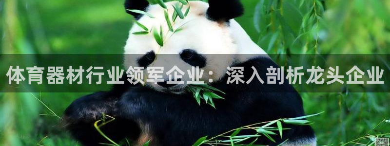 富联平台官网登录不了：体育器材行业领军企业：深入剖析