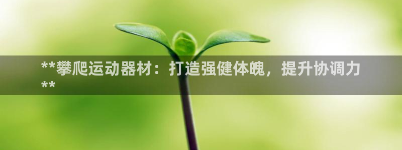 富联劳务：**攀爬运动器材：打造强健体魄，提升协调力