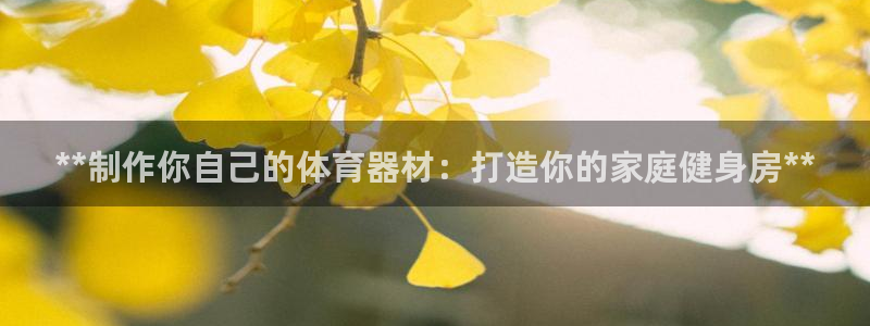 富联是什么软件：**制作你自己的体育器材：打造你的家