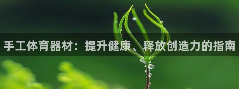 富联娱乐优 411o31 富联：手工体育器材：提升健