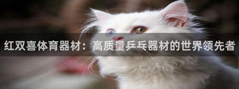 富联网是什么意思：红双喜体育器材：高质量乒乓器材的世