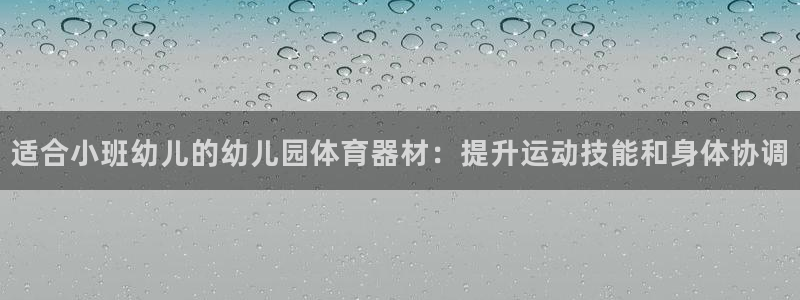 富联智能工坊：适合小班幼儿的幼儿园体育器材：提升运动技能和身