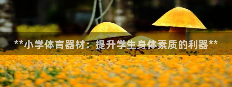 富联娱乐负责人名单：**小学体育器材：提升学生身体素质的利器