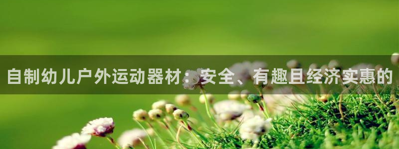 富联申购上市价格预测表：自制幼儿户外运动器材：安全、