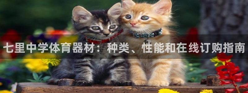 富联娱乐客户端app下载服务：七里中学体育器材：种类、性能和