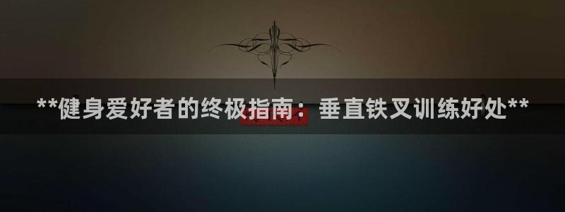 富联娱乐测速登录失败：**健身爱好者的终极指南：垂直铁叉训练