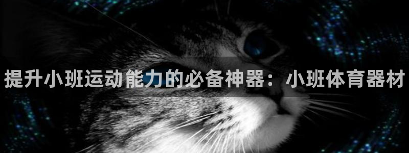 富联平台挂机怎么操作：提升小班运动能力的必备神器：小班体育器