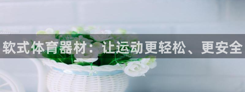 富联官网注册：软式体育器材：让运动更轻松、更安全