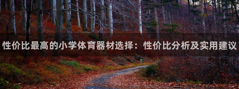 富联芯科技：性价比最高的小学体育器材选择：性价比分析及实用建