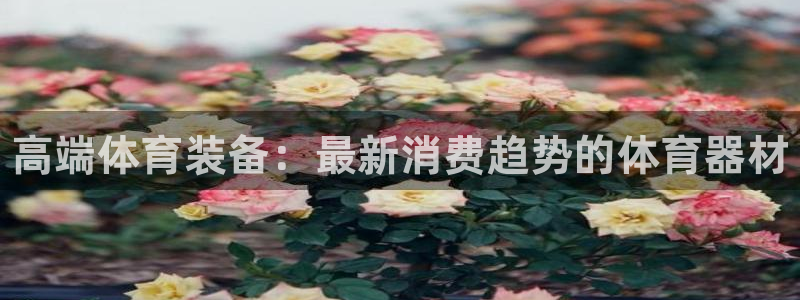 富联娱乐下载：高端体育装备：最新消费趋势的体育器材