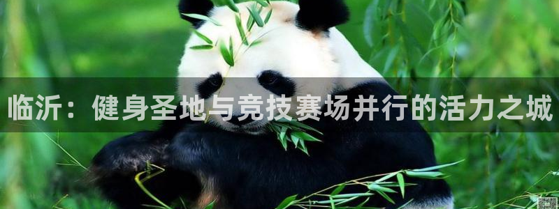 富联商标：临沂：健身圣地与竞技赛场并行的活力之城