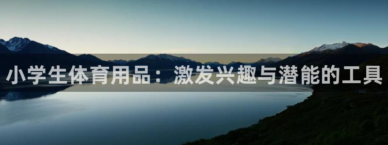 富联官网注册不了账号吗：小学生体育用品：激发兴趣与潜