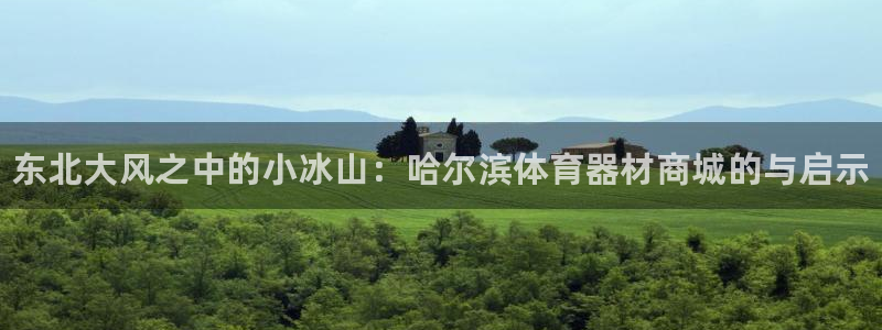 富联官方网站首页入口：东北大风之中的小冰山：哈尔滨体