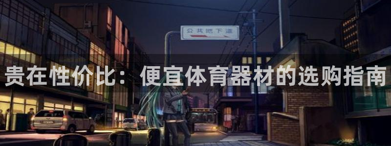 富联娱乐是什么时候开的店：贵在性价比：便宜体育器材的选购指南