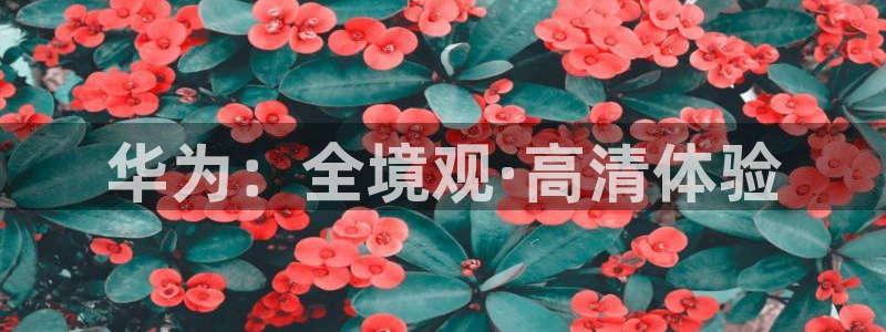 羞羞羞羞影院：华为：全境观·高清体验