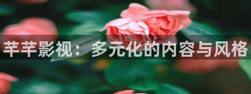午夜影院羞羞影院：芊芊影视：多元化的内容与风格