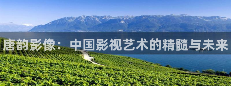 男同羞羞影院：唐韵影像：中国影视艺术的精髓与未来